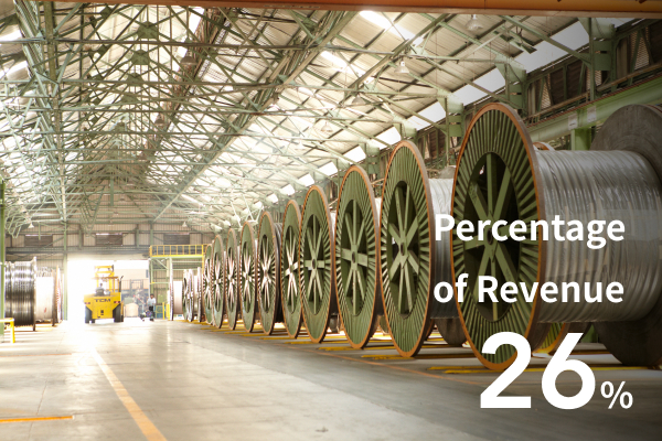 ▪ Wire and Cable Business